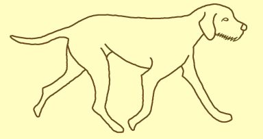 An outline of a dog trotting from left to right